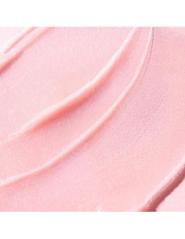 Nuxe Bálsamo labios Very Rose 15 G