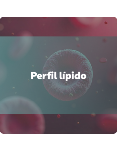 Perfil Lipídico