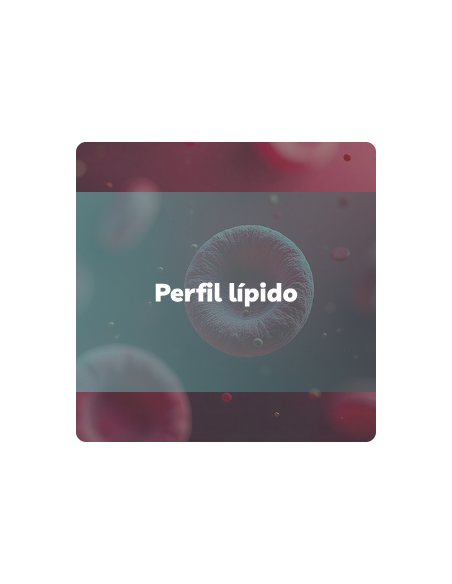 Perfil Lipídico