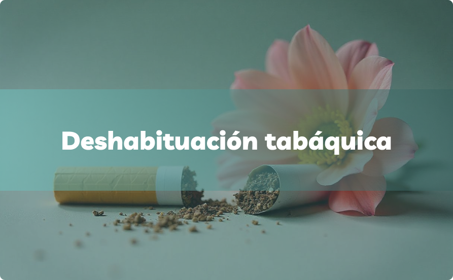 Servicios