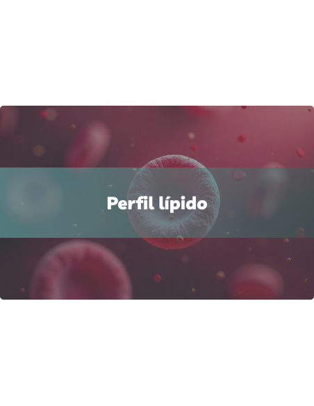 Perfil Lipídico