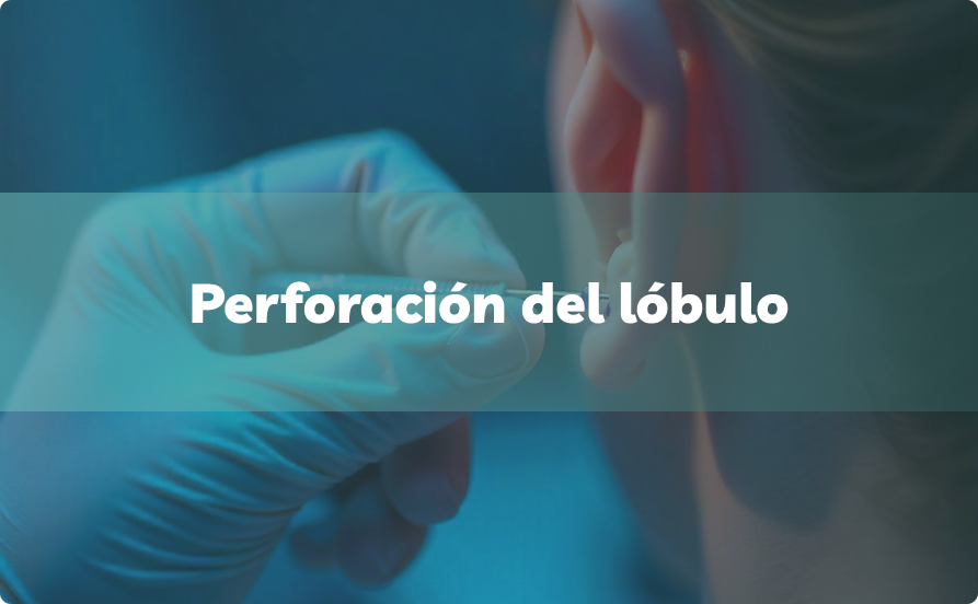 Servicios