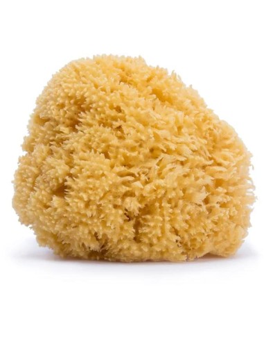 Suavinex - Esponja Natural - grande