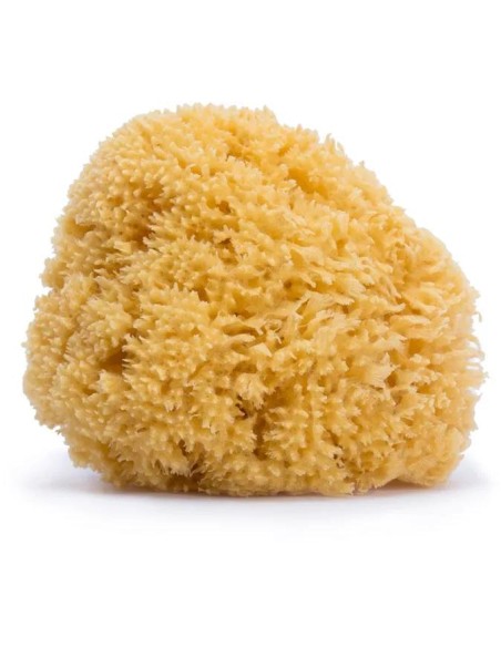 Suavinex - Esponja Natural - grande