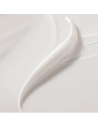 CREME FRAICHE DE BEAUTE CREMA RICA HIDRATANTE 48H  1 ENVASE 