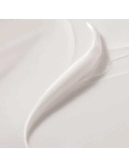 CREME FRAICHE DE BEAUTE CREMA RICA HIDRATANTE 48H  1 ENVASE 