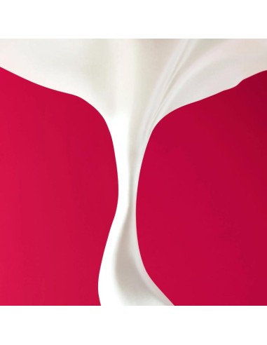 MERVEILLANCE LIFT CREMA EN POLVO EFECTO LIFTING  1 ENVASE 50