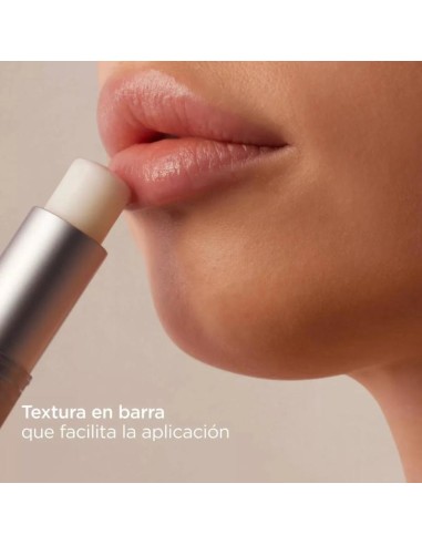 ISDIN REPARADOR LABIAL STICK  1 ENVASE 4 G